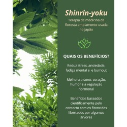 21/06-Shinrin-yoku-Banho de Floresta I Almoço na Ribeira,  Ritual do Chá, Marruge