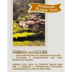 28/06-Ciclo do mel & Conversa Polinizadores I Visita guiada ao Apiário | Almoço| Marruge