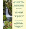 DIA DE YOGA + CONCERTO GONGO E TAÇAS TIBETANAS (COM ALMOÇO)