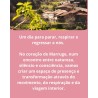 DIA DE YOGA + CONCERTO GONGO E TAÇAS TIBETANAS (COM ALMOÇO)