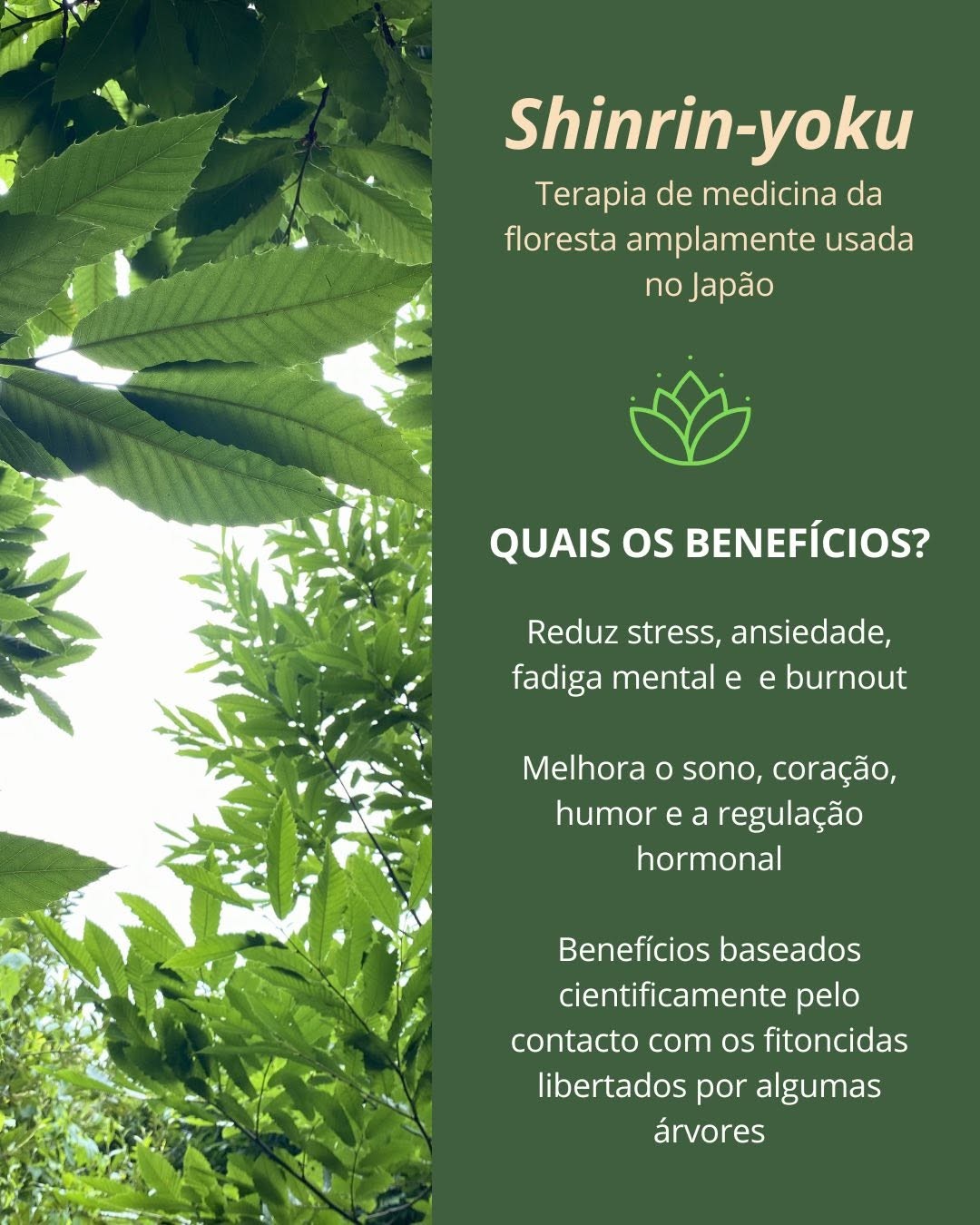 Evento do mês